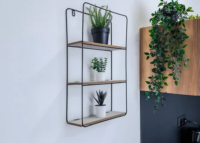 Svätého Martina Holíč